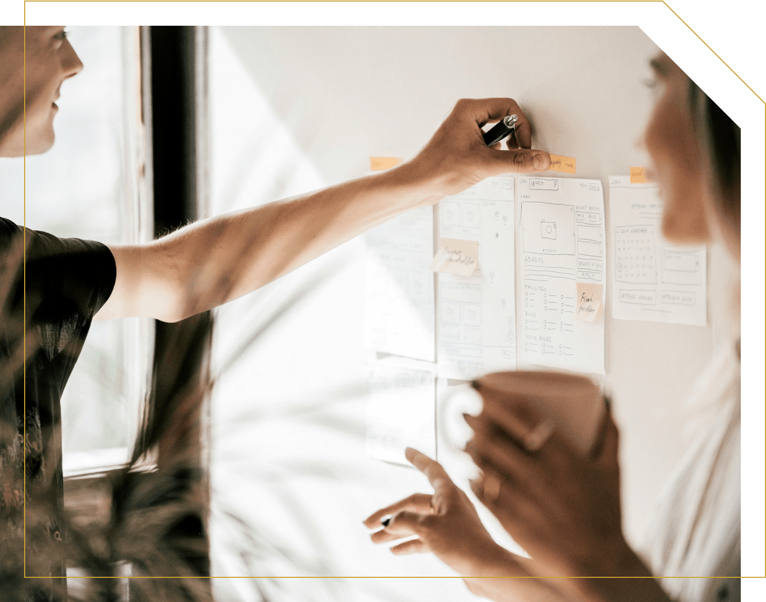 Vzdělávání a osvěta